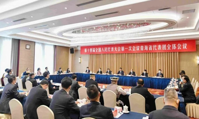 青海代表团举行全体会议