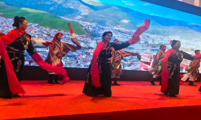 玉树市举办2026年退休干部迎春茶话会