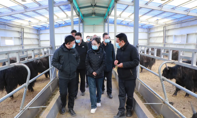 ��ί����ǡ��ݳ����븰�����е���