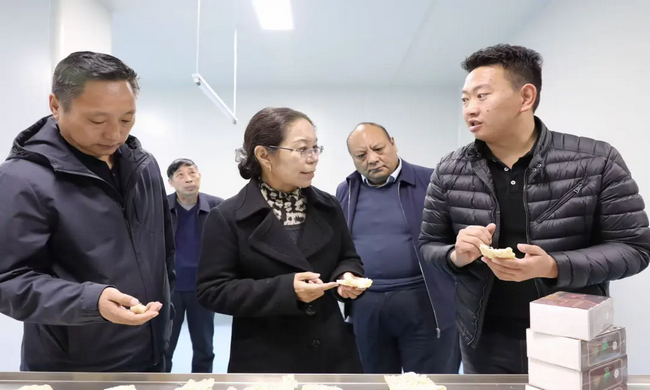 ���븰�����ж�������������������������԰�����輰��