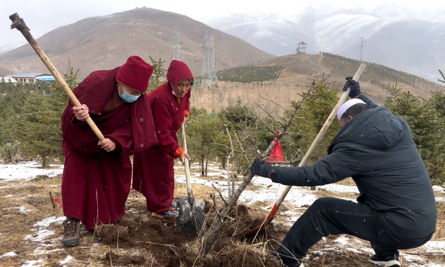 共植生命树 守护三江源——玉树市2026年全民义务植树